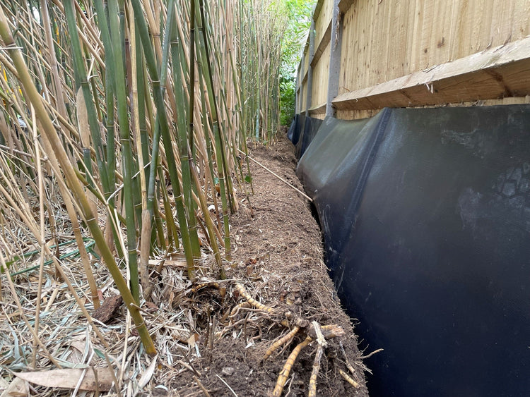 Image of root barrier membrane installed next to a fence with bamboo next to it