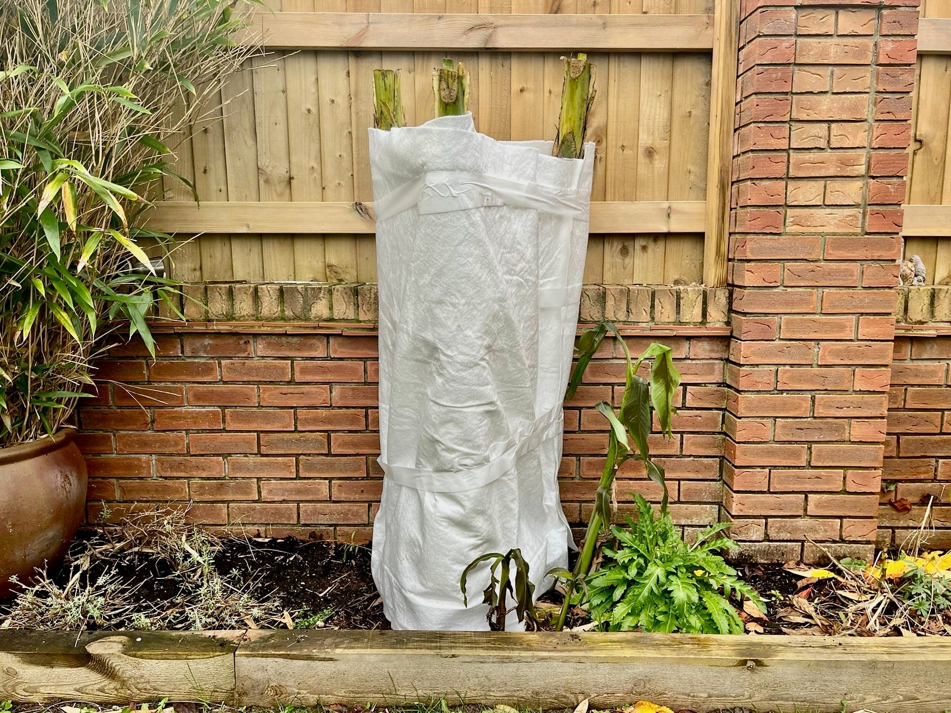 dirt planted aquarium HIRO Aquatics Naturoil Aquarium Substrate, Sand, Soil For Freshwater P