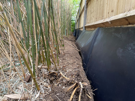 Image of root barrier membrane installed next to a fence with bamboo next to it