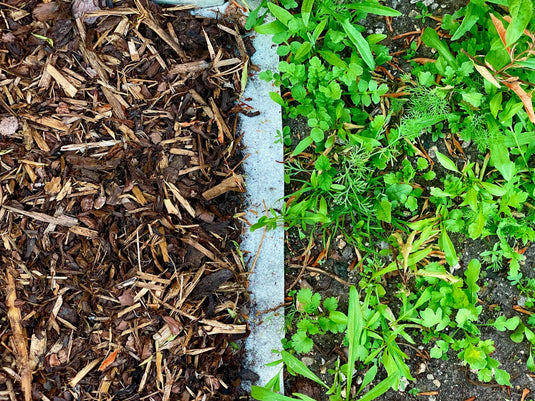 What to put down to stop weeds coming through. Weed membrane and mulch pictured as alternatives to herbicides and no treatment.