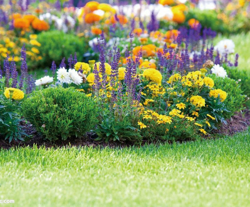 Load image into Gallery viewer, Tuffedge – Black Garden Edging – Heavy Duty Plastic
