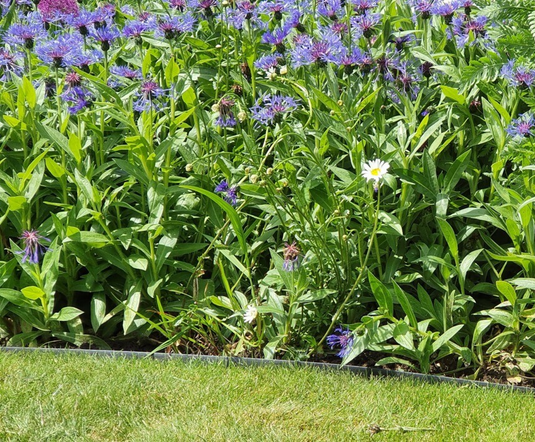 Tuffedge – Black Garden Edging – Heavy Duty Plastic